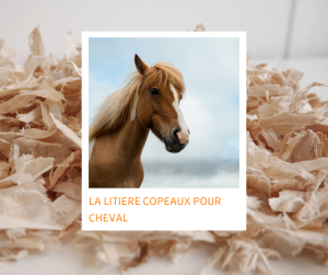 Lire la suite à propos de l’article La litière de copeaux pour le cheval