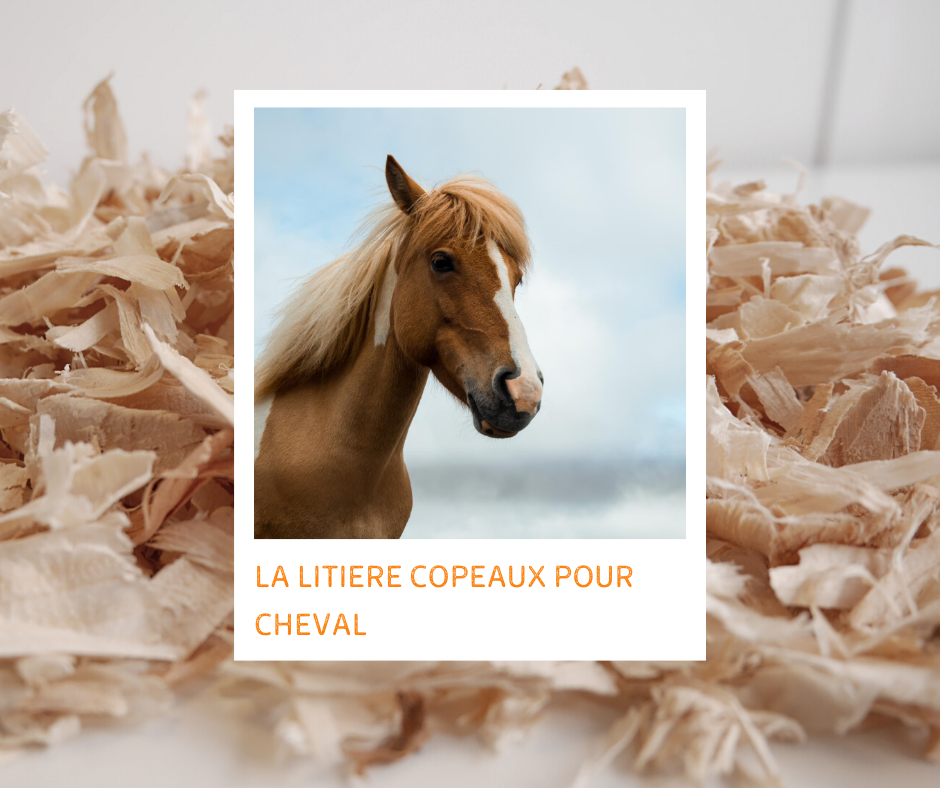 Copeaux Bois Standards - Litière Cheval
