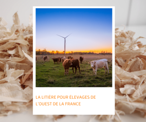 Lire la suite à propos de l’article La litière pour élevages de l’Ouest de la France