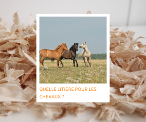 Sciure de bois 100% dépoussiérée - Litière Cheval