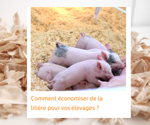 Lire la suite à propos de l’article Comment économiser la litière de vos animaux en élevage ?