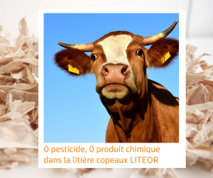 Lire la suite à propos de l’article Une litière copeaux 0 pesticides, 0 produit chimique, 100% bretonne !
