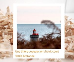 Lire la suite à propos de l’article Une litière copeaux en circuit court 100% bretonne