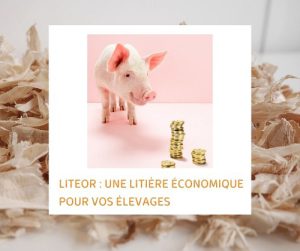 Lire la suite à propos de l’article LITEOR : litière économique pour vos élevages