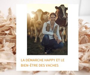 Lire la suite à propos de l’article La démarche Happy et le bien-être des vaches