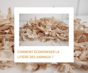 Lire la suite à propos de l’article Comment économiser la litière des animaux ?