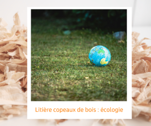 Lire la suite à propos de l’article Litière copeaux de bois : écologie