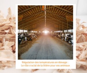 Lire la suite à propos de l’article Régulation des températures en élevage : Le rôle crucial de la litière pour vos animaux